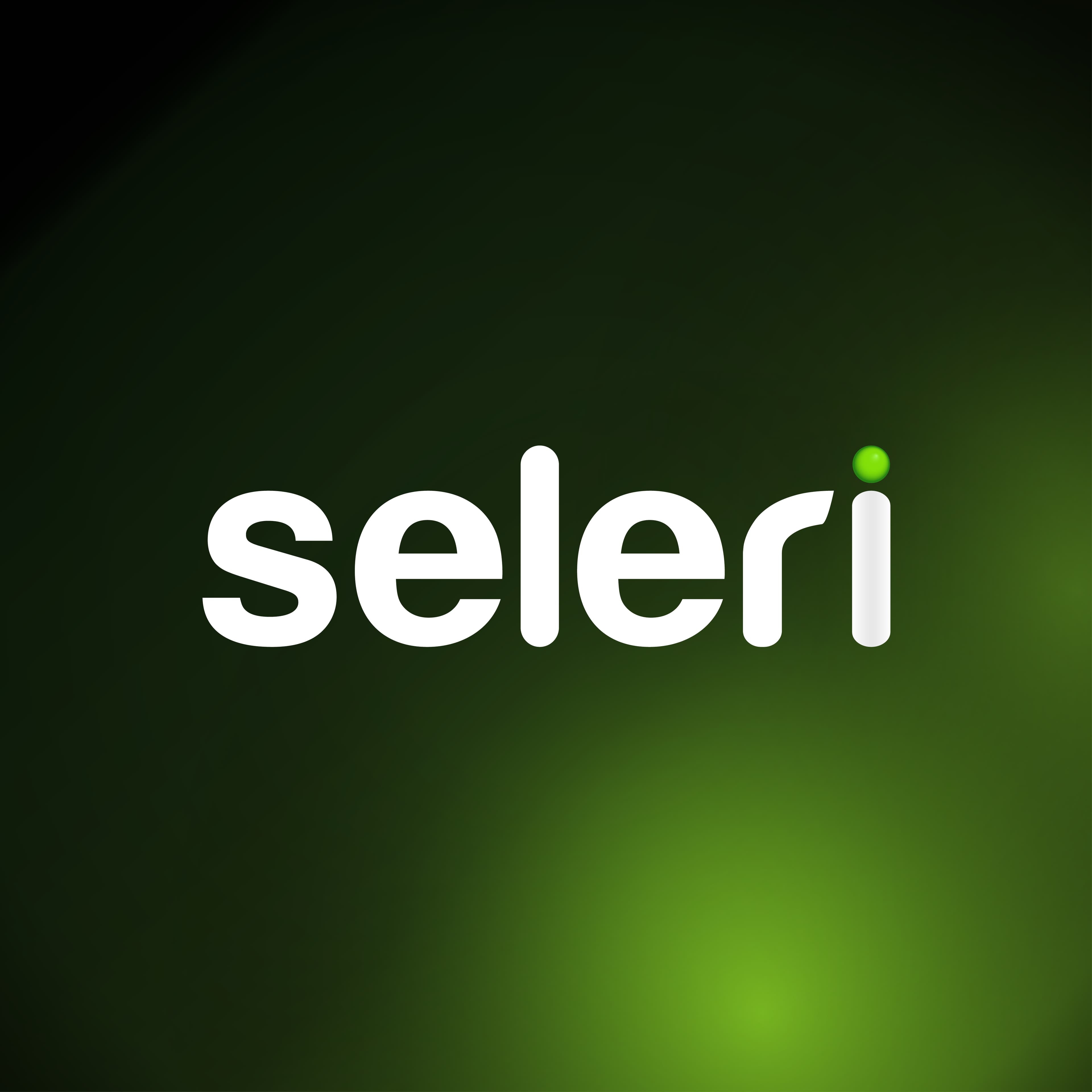 Логотип Seleri